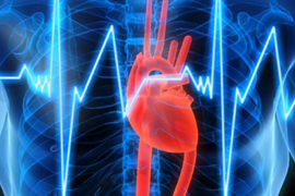 Գիտնականները սովորել են ռեգեներացնել մարդու սիրտը կաթվածից հետո. news.am