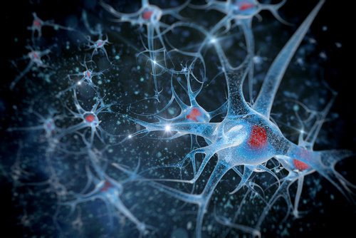Ученые нашли фермент, который может победить нейродегенеративные заболевания