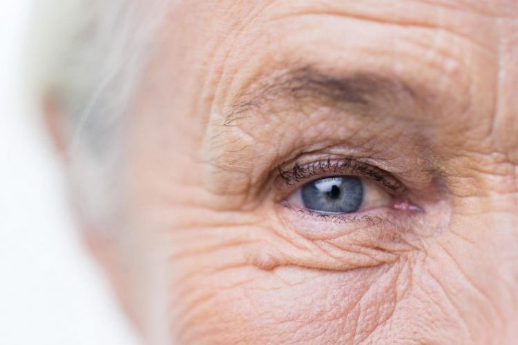 Ученые предложили вариант лечения слепоты у пожилых людей