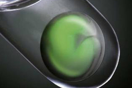 Գիտնականները ցողունային բջիջներից աչքի ցանցաթաղանթ են ստացել