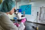 Эмбриологи ННГУ участвуют в импортозамещении материалов для ЭКО и лабораторных животных