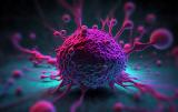 «Клетка в клетке»: российские учёные выявили способность энтоза влиять на развитие онкологии