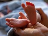 В России научились прогнозировать здоровье детей до их рождения
