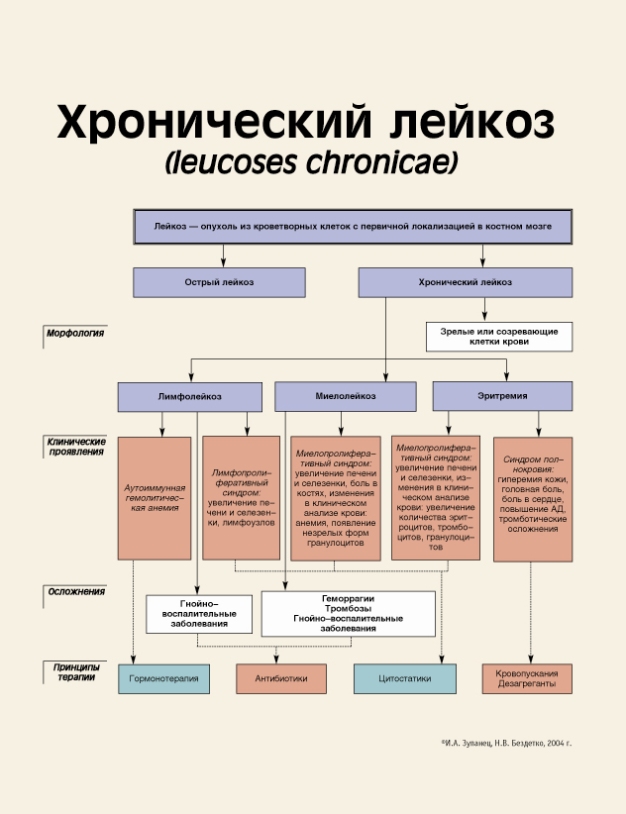 Лимфолейкоз: стадии, симптомы, лечение